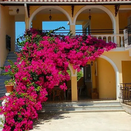 Zante 523